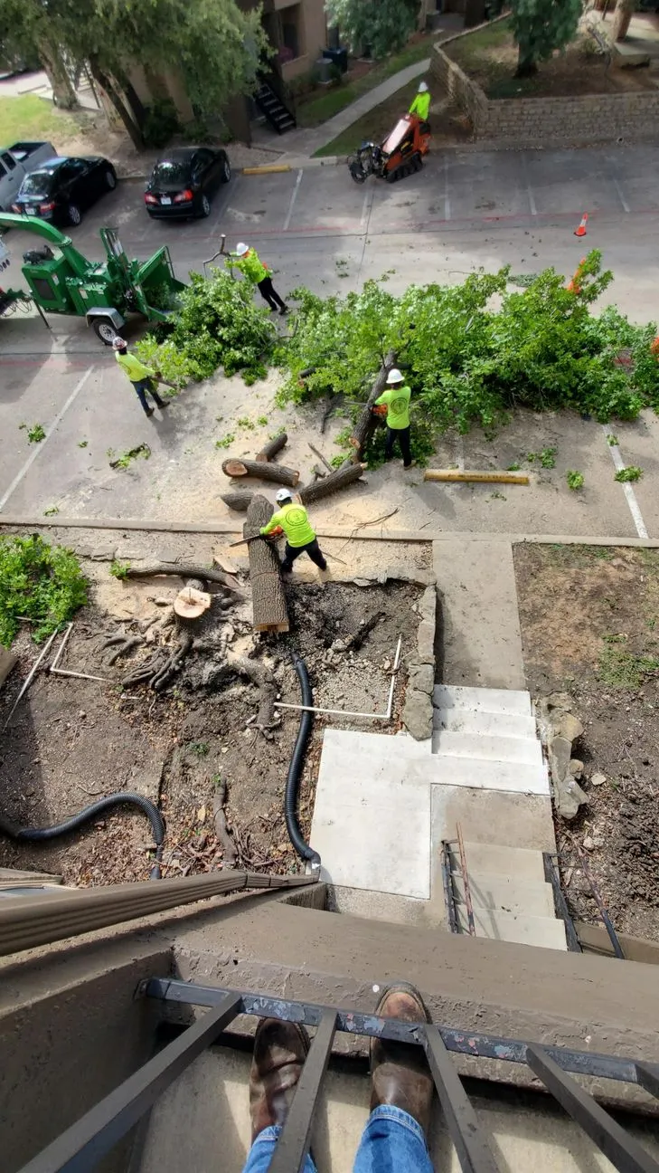 Job site progress