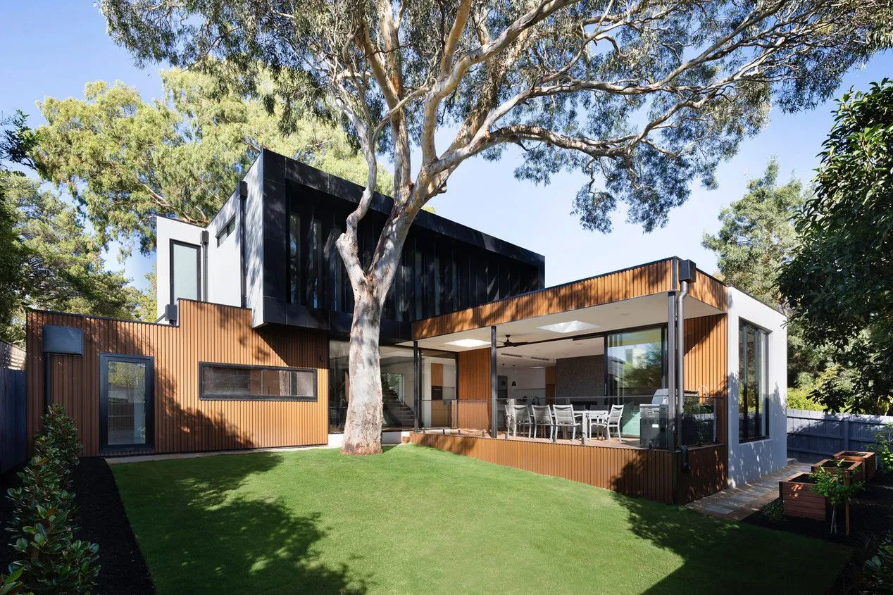 Cabling and Bracing: Structural Support for Aging Trees