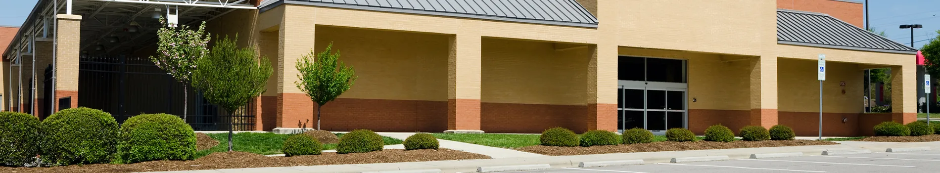 Commercial tree services in Arlington