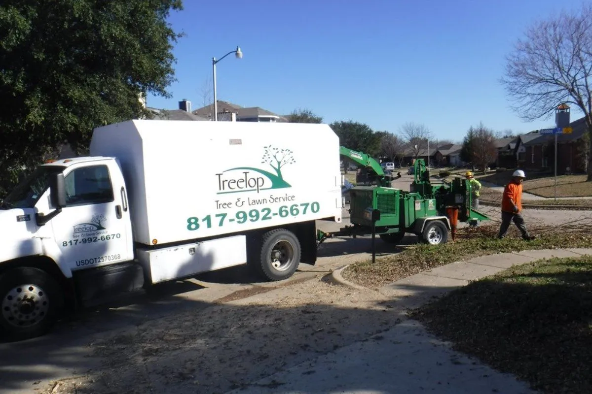 Tree Service Costs in DFW: What to Expect