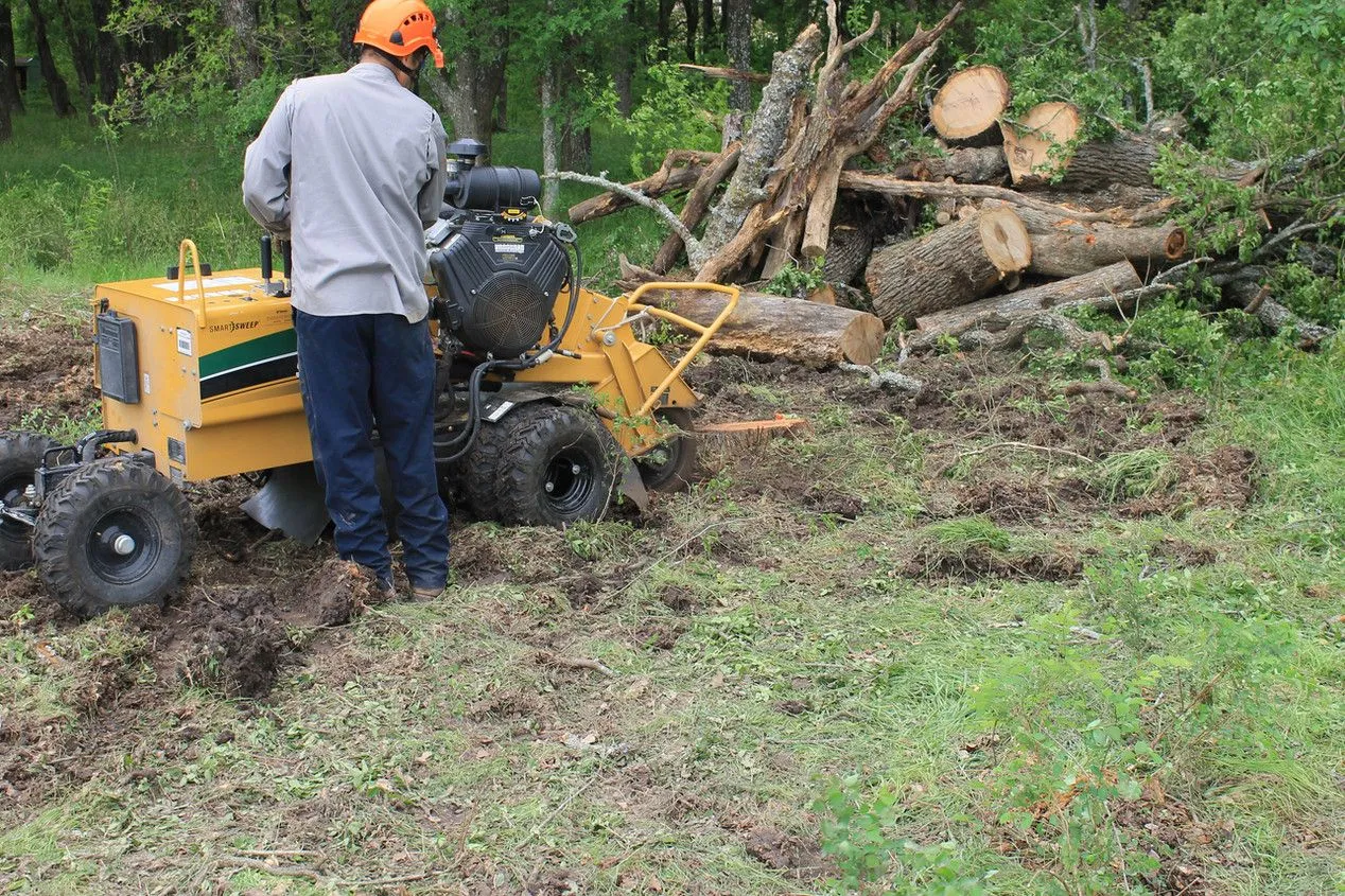 Stump Grinding & Removal