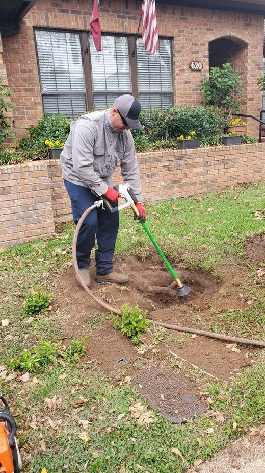 Working on a tree root