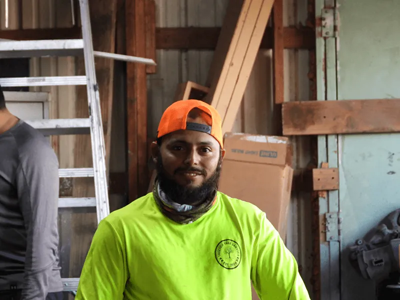 Tree service in Duncanville, TX