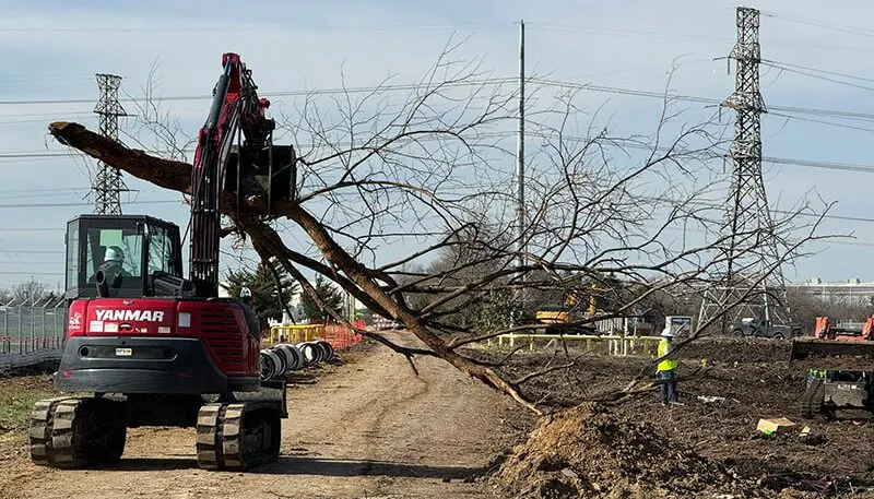 Heavy equipment clearing trees from a road